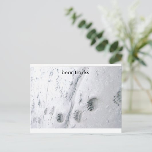 beren sporen, beren sporen briefkaart (Staand voorkant)