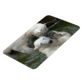 Beren tegen polen magneet (Linkerzijde)