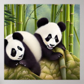 Beren van Cute Panda in het bos van Bamboe Poster (Voorkant)
