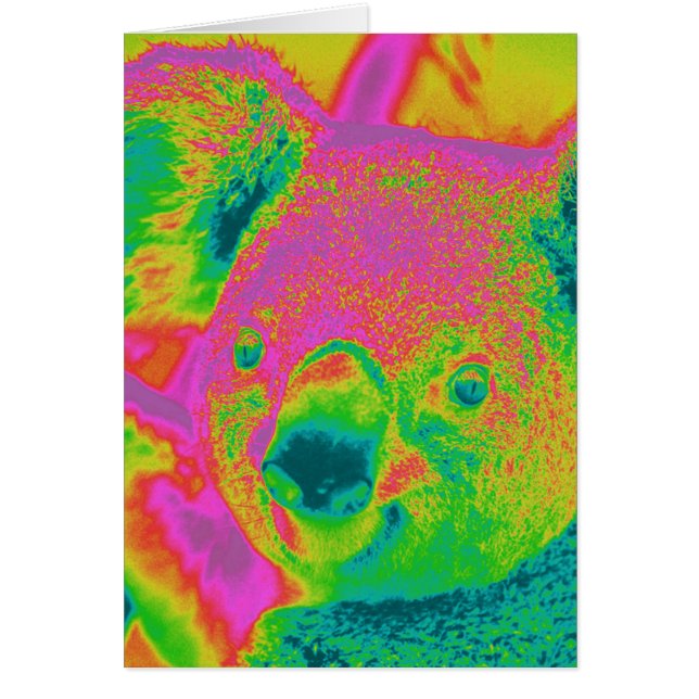beren van fluorescerende koala (Voorkant)