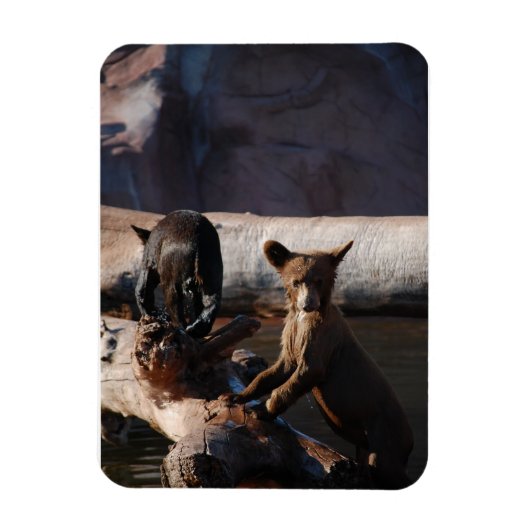 Beren welpen in watermagneet magneet (Verticaal)