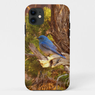 Berg Bluebird in Arches National Park iPhone 11 Hoesje