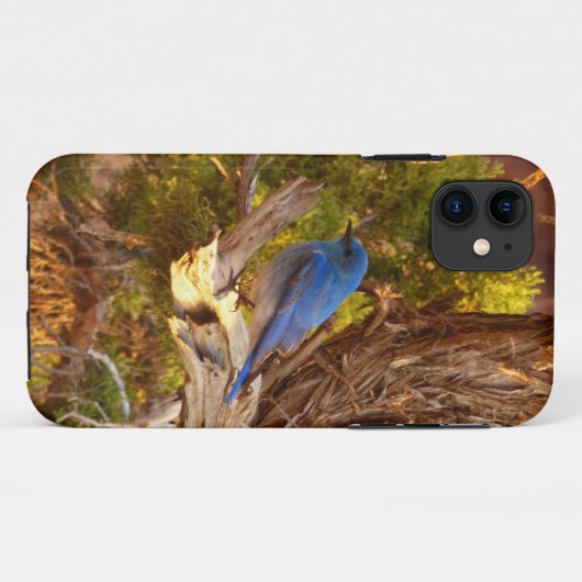 Berg Bluebird in Arches National Park Case-Mate iPhone Case (Achterkant (horizontaal))