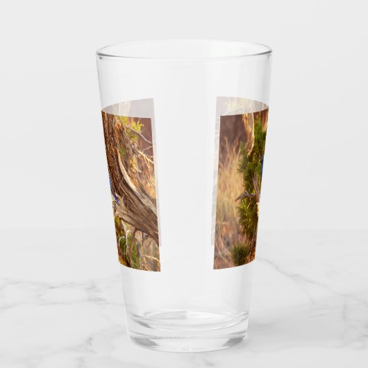 Berg Bluebird in Arches National Park Glas (Rechts)