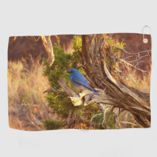 Berg Bluebird in Arches National Park Golfhanddoek