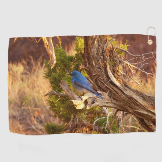 Berg Bluebird in Arches National Park Golfhanddoek (Horizontaal)