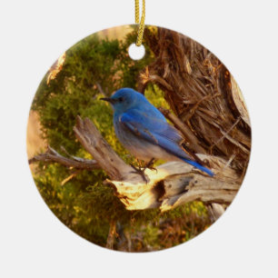 Berg Bluebird in Arches National Park Keramisch Ornament