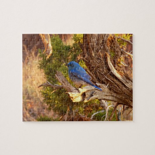 Berg Bluebird in Arches National Park Legpuzzel (Horizontaal)