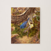 Berg Bluebird in Arches National Park Legpuzzel (Verticaal)