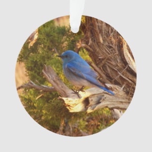 Berg Bluebird in Arches National Park Ornament