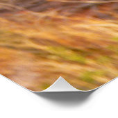 Berg Bluebird in Arches National Park Perfect Poster (Hoek)