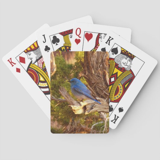 Berg Bluebird in Arches National Park Pokerkaarten (Achterkant)