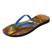 Berg Bluebird in Arches National Park Teenslippers (Schuin)