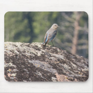 Berg Bluebird op Granite Muismat