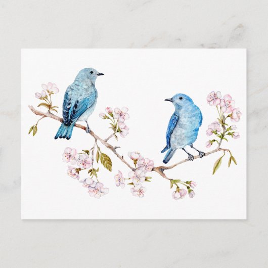 Berg Bluebird op Sakura Branch Briefkaart (Voorkant)