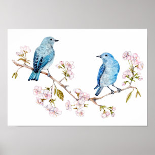 Berg Bluebird op Sakura Branch Poster