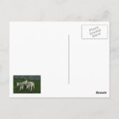 berg briefkaart (Achterkant)