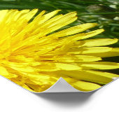 Berg Dandelions Poster (Hoek)