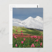 Berg en weide briefkaart (Voorkant / Achterkant)