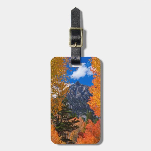 Berg geframed in herfstloof, CA Bagagelabel (Voorkant verticaal)