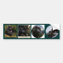 BERG GORILLAS Wildlife Multi-sticker Set #VII