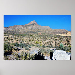 Berg in Nevada woestijn Poster