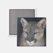 berg magneet (Voorkant / Achterkant)