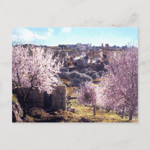  berg olijven Jeruzalem Israël 1950 - 77 Briefkaart