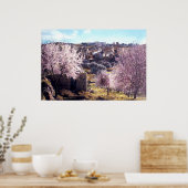 berg olijven Jeruzalem Israël 1950 - 77 Poster (Keuken)