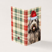 Bergamasco Chien de vacances Carte de Noël Plaid (Outside)