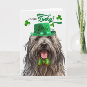 Bergamasco hond gelukige St. Patrick's Day Feestdagen Kaart