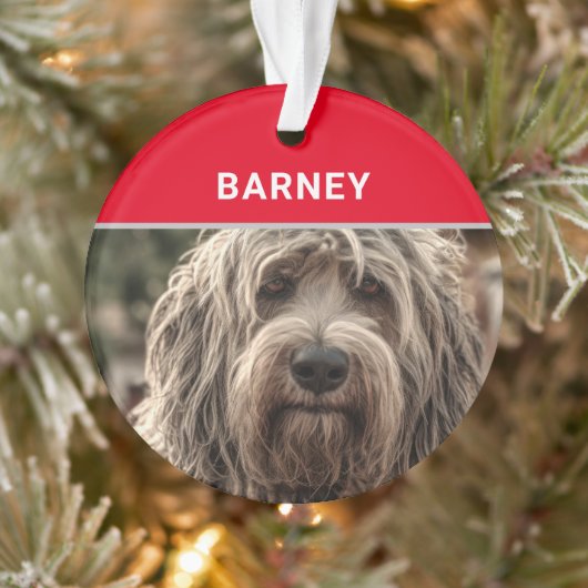 Bergamasco Nom du chien et photo Noël (Arbre)