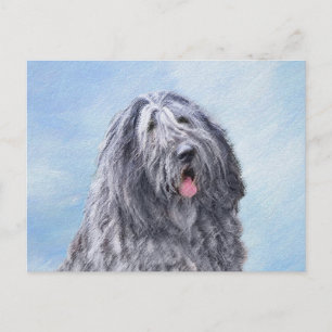 Bergamasco Sheepdog Painting - Cute Original Dog A Briefkaart