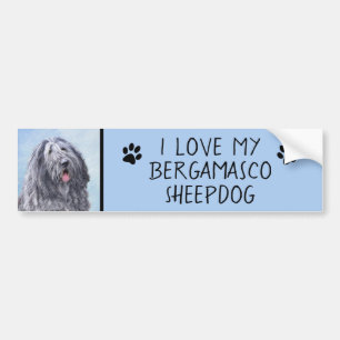 Bergamasco Sheepdog Painting - Cute Original Dog A Bumpersticker