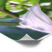 Bergappels Poster (Hoek)