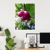 Bergappels Poster (Thuiskantoor)