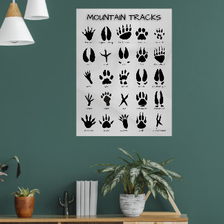 Bergbanen Poster