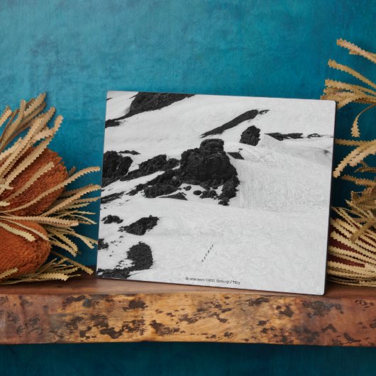 Bergbeklimmers Fotoplaat (Zijkant)