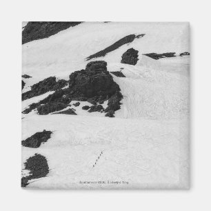 Bergbeklimmers Magneet