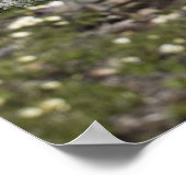 Bergbereik en meer vanaf het begin van een berg poster (Hoek)