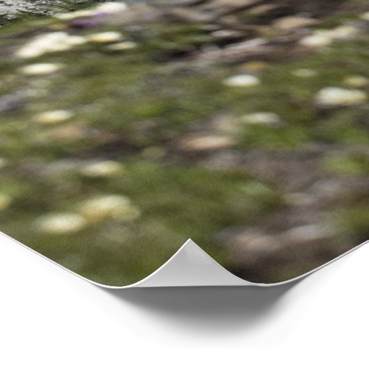 Bergbereik en meer vanaf het begin van een berg poster (Hoek)