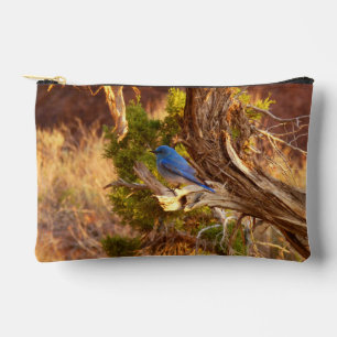 Bergblauwe lijster in Arches National Park Etui