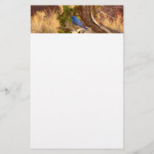 Bergblauwe Rietzanger in Arches National Park Briefpapier