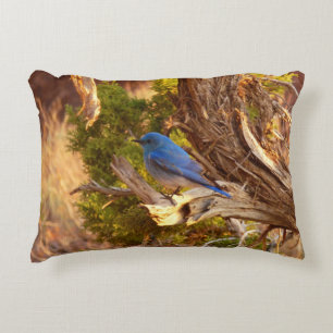 Bergblauwe Zanger in Arches National Park Accent Kussen