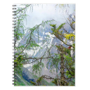 bergbomen, natuur, boslandschap notitieboek