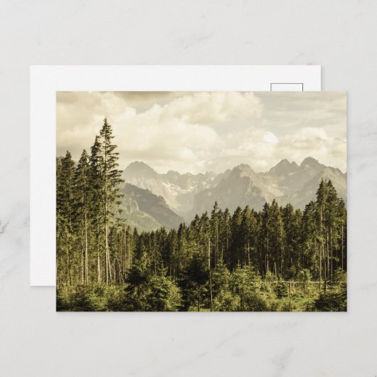  bergboslandschap briefkaart (Voorkant / Achterkant)