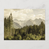 bergboslandschap briefkaart (Voorkant)