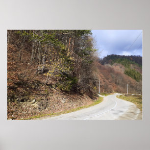 Bergbosweg - Wilde Natuur Roemenië Poster