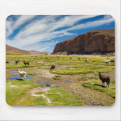 Bergen | Boliviaanse Andes Muismat (Voorkant)