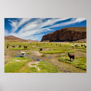 Bergen   Boliviaanse Andes Poster